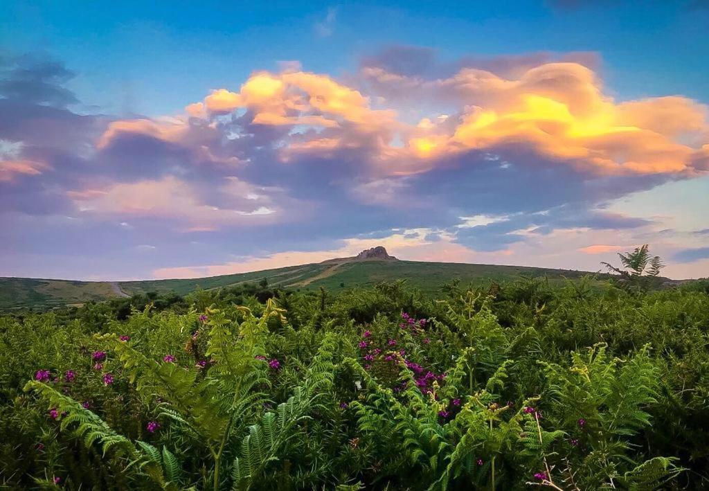 Haytor Court, Haytor, Dartmoor公寓 外观 照片