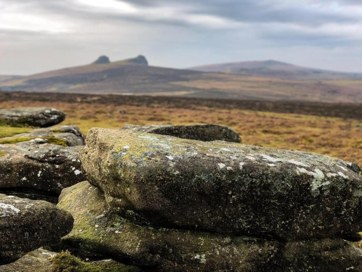 Haytor Court, Haytor, Dartmoor公寓 外观 照片