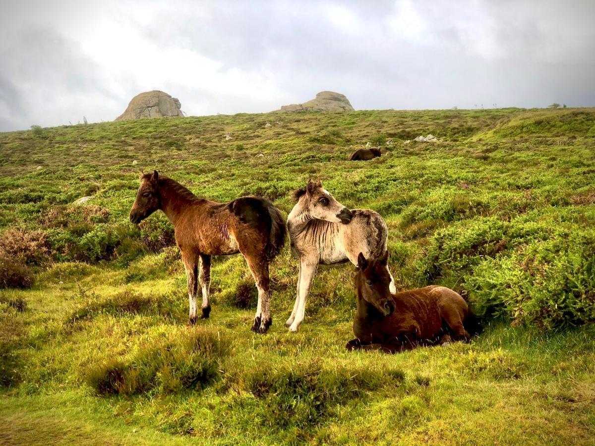 Haytor Court, Haytor, Dartmoor公寓 外观 照片