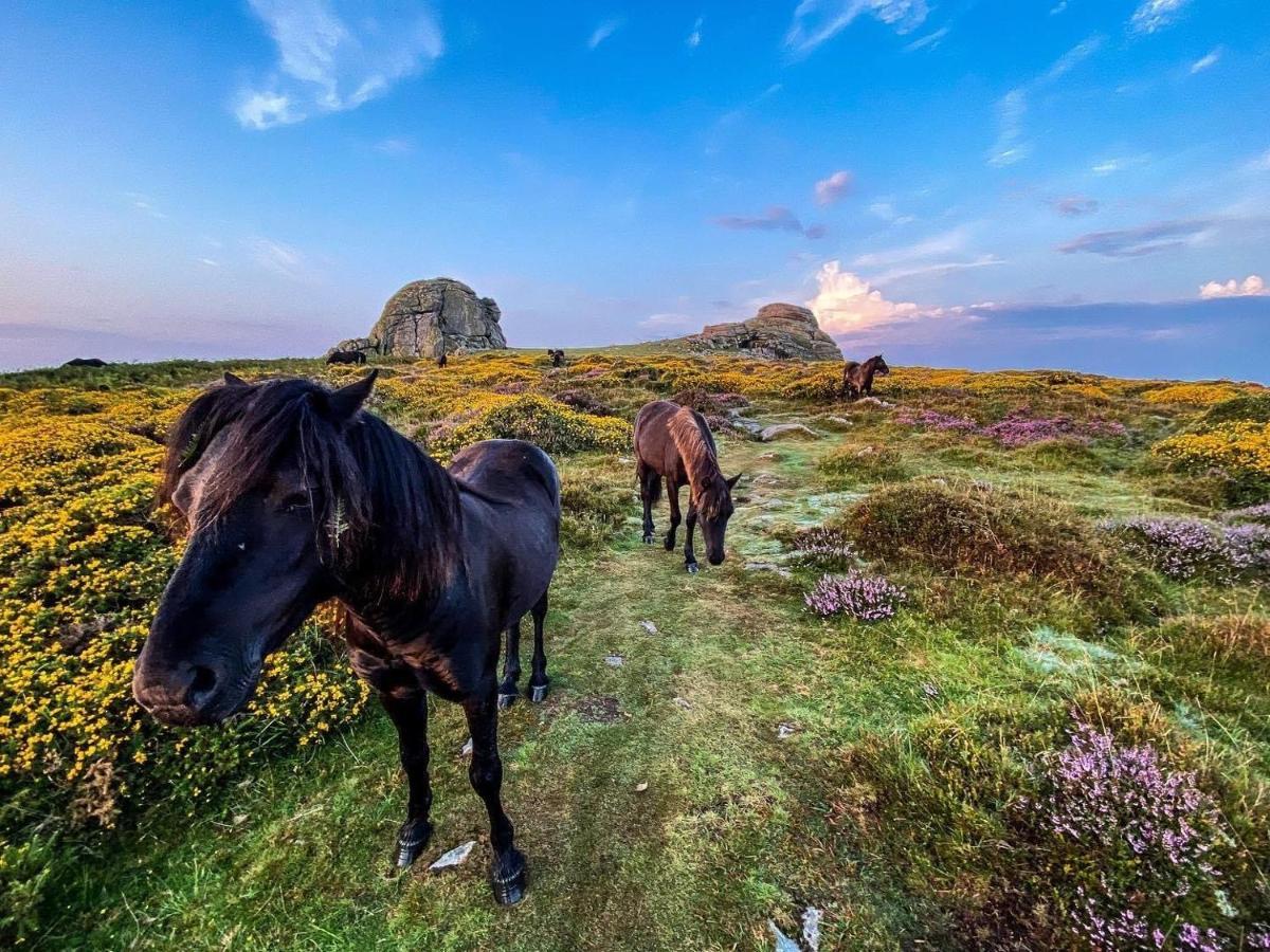 Haytor Court, Haytor, Dartmoor公寓 外观 照片
