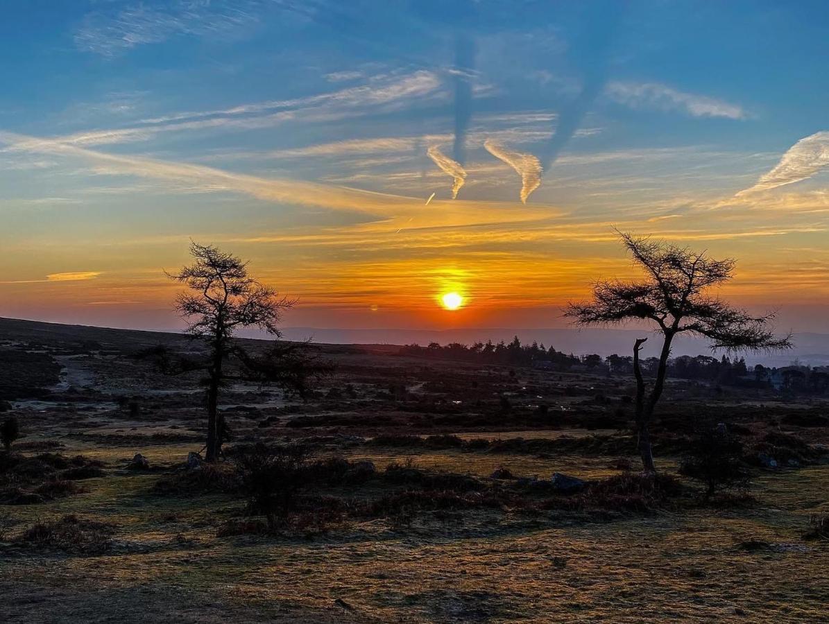 Haytor Court, Haytor, Dartmoor公寓 外观 照片